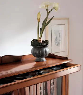 Produktbild von Bücherregal Vitrine Vitrinenschrank Klassischer Schrank Bücherschrank Holz Regal