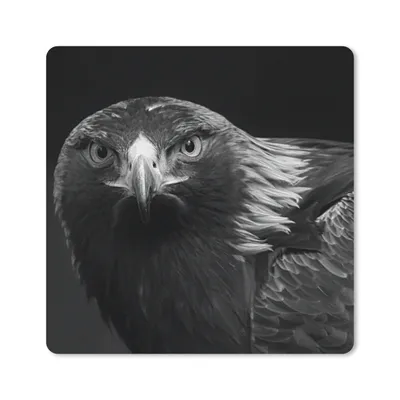 Produktbild von MuchoWow® Mauspad Mousepad Bussard - Vogel - Tiere - Schwarz - Weiß 30x30 cm - Mousepads - Maus Mat - Pad - Mausunterlage - Gaming
