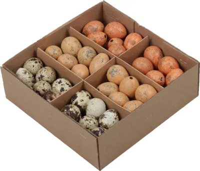 Produktbild von 72 Wachteleier ausgeblasen 3cm bunt natur orange Eier Ostereier Ostern
