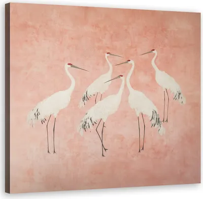 Produktbild von Leinwandbild Kraniche Tiere Abstraktion 50x50 Feeby Rosa bild für die wand bereit zum aufhängen