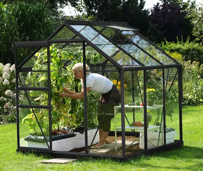 Produktbild von Vitavia Gewächshaus "Venus 3800" schwarz 3,8 m² 3 mm ESG