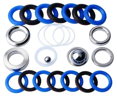 Dichtring Kit 248213 für Airless Pumpen 695/795