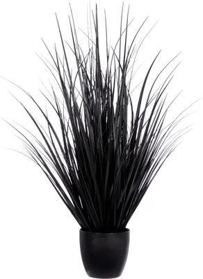 Obrázek produktu pro Tráva Gilde v květináči v. 100 cm 57344