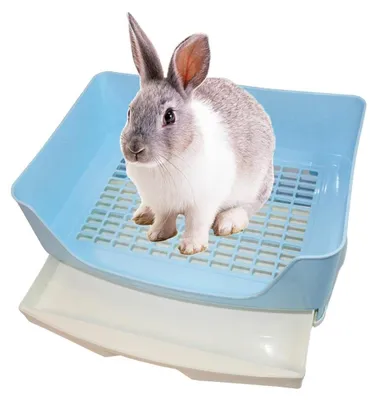 Produktbild von Kleintier-Toilette Eckklo Katzenklo Kleintierklo - 40,6 x 30 x 16 cm - Blau - Für Kaninchen, Meerschweinchen und Frettchen