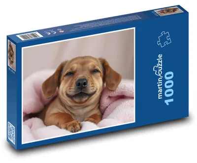 Obrázok produktu pre Puzzle 1000 Usmievané Šteniatko v Deke - martinpuzzle