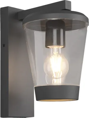 A close-up view of a gray outdoor wall lantern with a clear glass shade and a visible light bulb.