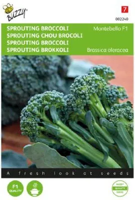 Produktbild von Sprouting Brokkoli Montebello F1 | Brokkolisamen von Buzzy Seeds