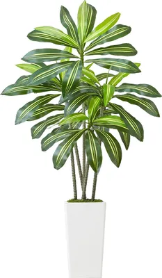 Obrázek produktu pro SucceBuy Umělý strom Dracaena, 1,52 m, dračí strom s bílým vysokým květináčem, umělá rostlina v květináči, dekorativní tropická rostlina pro verandy, obývací pokoje, terasy, domy a kanceláře