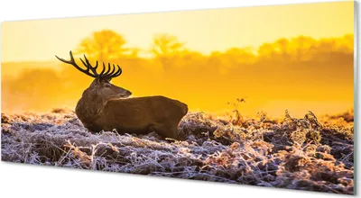 Produktbild von Glasbilder 125x50 Wandkunst Deer Winter Sonnenaufgang