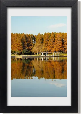 Produktbild von Bild 20x30 MDF-Rahmen, Wandkunst Park im Herbst