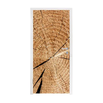 Obrázek produktu pro MuchoWow® Plakát na dveře - Pařez - Struktura - Strom - Design - 215x80 cm - Samolepicí fólie na dveře
