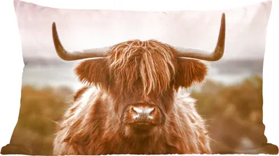 Produktbild von MuchoWow® Zierkissen Sofakissen Wohnzimmer Dekokissen 60x40 cm Kuh - Schottisches Hochlandrind - Tier - Kopfkissen - Polster mit Foto