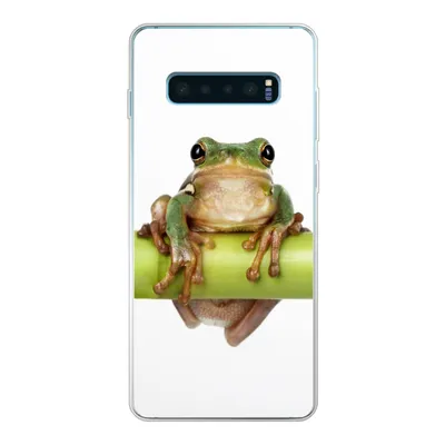 Produktbild von MuchoWow® Handyhülle Schutzhülle Hülle für Samsung Galaxy S10 Lite Frosch - Bambus - Weiß Silikon Softcase Handy Hülle - Schutz