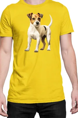 Produktbild von Herren T-Shirt Dogs Breeds Russell Terrier Dog Breed 006, Man L / Gelb