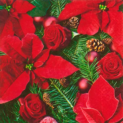 Produktbild von Servietten Papier 33x33cm Weihnachtsstern Motiv 20 Stück Rot / Grün
