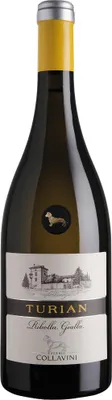 Produktbild von Turian Ribolla Gialla Colli Orientali del Friuli DOC 2019 Friaul-Julisch Venetien | Italien | 12,5% vol | 0,75 l