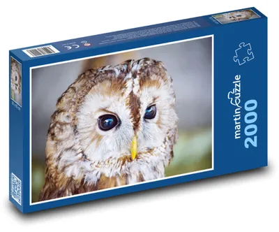 Obrázok produktu pre martinpuzzle - Puzzle 2000 - Sova - vták