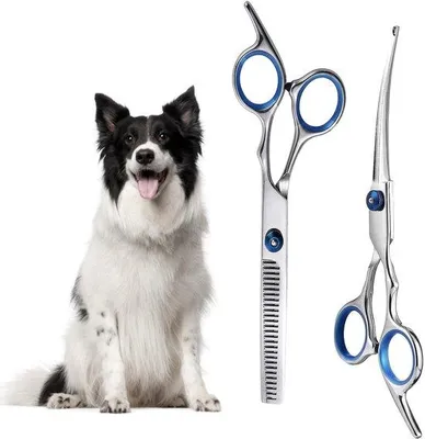 Productafbeelding van Ibenzoa® Set voor het knippen van huisdieren, 2-delig – Professionele roestvrijstalen trimmers, afgeronde veiligheidstips, ergonomische siliconenhandgreep, 17 x 5,5 x 1 cm, blauw