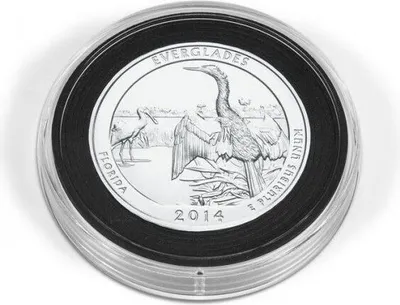 A coin in a protective plastic case.