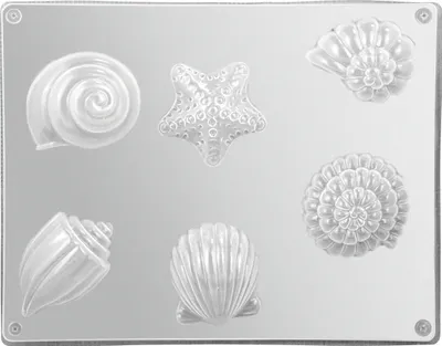 Produktbild von Gießform Muscheln für Seifen, Kreativgießmassen & Beton, Ø 5,5-6,5 cm, Tiefe 2,5 cm, 6 Motive