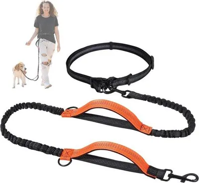 Produktbild von Reflexhalsband für mittel- und große Hunde - zogbare Riemen mit doppeltem Griff - Hundehalsband