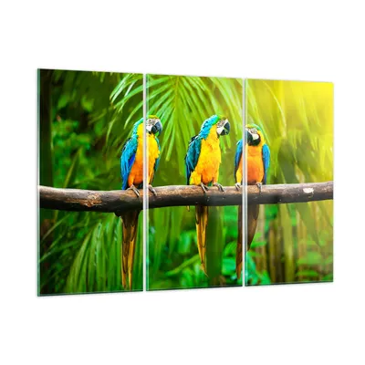 Produktbild von Bilder auf glas - Papageien Collorful Natur Vögel - 165x110cm - Glasbilder - Wandbilder - Kunstdruck - Wanddekoration aus Glas - Glas Bilder - Wandbild auf Glas - GCE165x110-2696