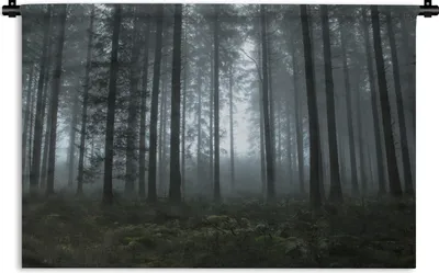Produktbild von MuchoWow® Wandteppich Wandbehang Wald - Licht - Nebel 120x80 cm Tapisserie Dekoration Wandtuch - Wanddekorationen - Wandtücher