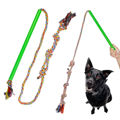 Produktbild von 1 * Hundespielzeug ausziehbare Reizangel für kleine und große Hunde Welpen Katzen Kauspielzeug Seil -Klein 40cm Seillänge 1.7m