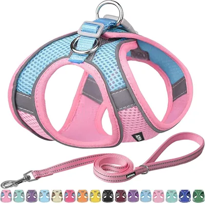 Imagen del producto de Arnés para perros con correa, fabricado con malla transpirable, reflectante, talla XXS, para perros pequeños