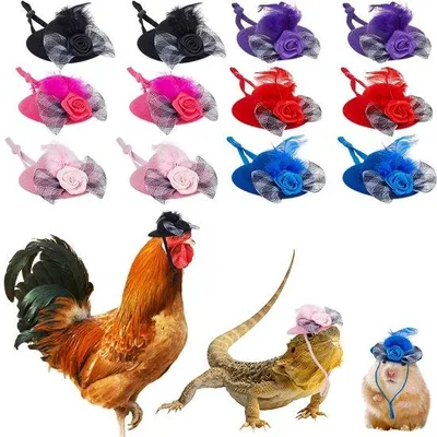Produktbild von Kleine Polyester Vogelhüte mit Verstellbarer Kinriem, Größere Auswahl an Farben, für Hühner, Papageien und andere Kleinvieh