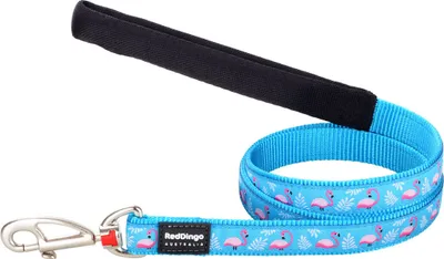 Image de Laisse pour chien Red Dingo Flamingo 1,2 m turquoise 1.2 x 120 cm