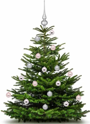 Produktbild von Christbaumspitze 26cm Soft Simplicity zinn matt