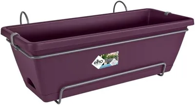 Produktbild von 1 Pflanzkasten, 50 cm, Ahornbaum, purpurrot