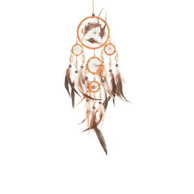 Produktbild von Traumfänger - Dreamcatcher mit Muscheln Ø 14 cm & 4 x klein