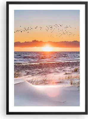 Produktbild von Gerahmtes Poster - Schwarzer Rahmen - Sonne Strand Vögel - 50x70 cm - Wand Bild - Wanddeko - Wandbilder - Kunstposter - Wandposter - Bilderrahmen - Bilder - Kunstdruck - P2BPA50x70-4727