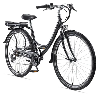 Produktbild von Teutoburg Senne Pedelec mit 7-Gang Shimano Kettenschaltung, 250W und 10,4 Ah / 36 V Lithium-Ionen-Akku