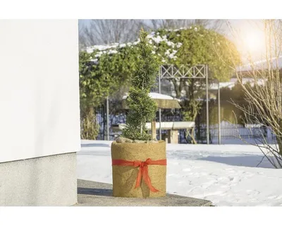 Produktbild von FloraSelf Kokos-Filzmatte 1.5x0.5 m natur