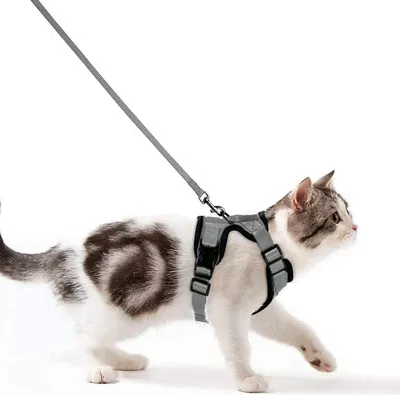 Productafbeelding van Een veilig kattenharnas met reflecterende strepen en een verstelbare borstband