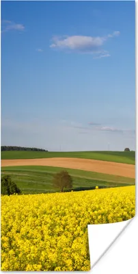 Produktbild von MuchoWow® Poster Frühling - Blumen - Gelb 20x40 cm - Plakat - Foto