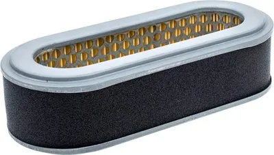 Zdjęcie produktu dla Filtr powietrza Robin EH34D 11HP 8R04-10
