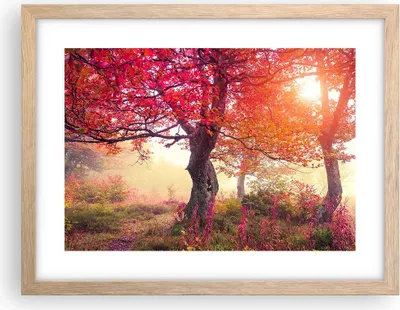 Produktbild von Gerahmtes Poster - Rahmen in heller Eiche - Baum Natur Wiese - 40x30 cm - Wand Bild - Wanddeko - Wandbilder - Kunstposter - Wandposter - Bilderrahmen - Bilder - Kunstdruck - Wandbild - P2NAA40x30-3658