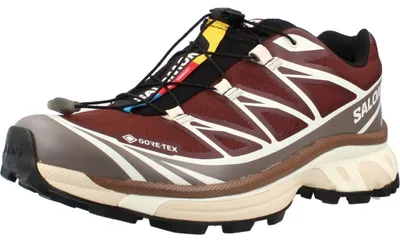 Image de Salomon Xt 6 Gtx Couleur Marron