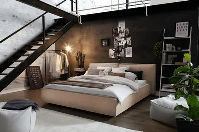Produktbild von KAWOLA Bett CARLO Polsterbett Stoff steingrau 160x200cm
