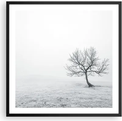 Produktbild von Gerahmtes Poster - Schwarzer Rahmen - Baum Feld Natur - 60x60 cm - Wand Bild - Wanddeko - Wandbilder - Kunstposter - Wandposter - Bilderrahmen - Bilder - Kunstdruck - Wandbild - P2BAC60x60-3683