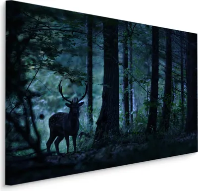 Produktbild von Fabelhafte Canvas LEINWAND BILDER 40x30 cm XXL Kunstdruck Hirsch Bäume Natur Nacht