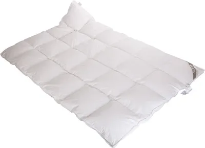 Produktbild von Betten Hofmann Belladream Daunendecke Daunenbett 4x6 135x200 100% Daunen Außensteg
