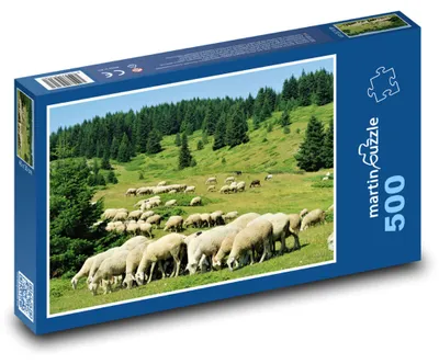 Obrázok produktu pre Puzzle 500 Stádo oviec na lúke - martinpuzzle