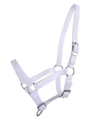 Produktbild von QHP Fohlen Halfter