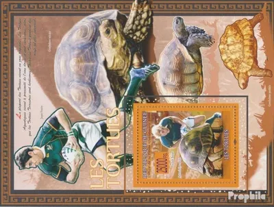 Produktbild von Briefmarken Guinea 2008 Mi Block 1511 (kompl. Ausgabe) postfrisch Schildkröten, Rugby