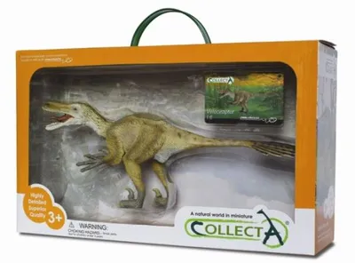 Produktbild von COLLECTA Geschenkset - Vorgeschichte